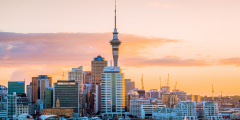 Auckland new Zealand ACE